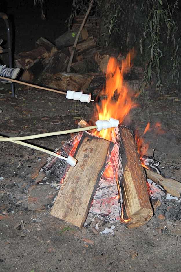 Land-gut-Hotel Allerhof