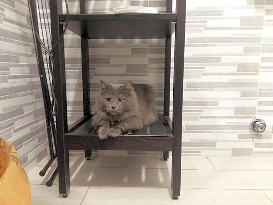 Affittacamere Erbagatta