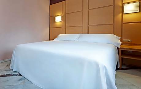 Superior Room Queen Size Bed