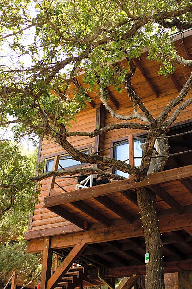 Boskenvid Hotel - Romantic Treehouses & Skypool
