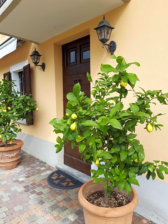Villa Vigneto