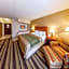 Comfort Inn Metro Airport Romulus