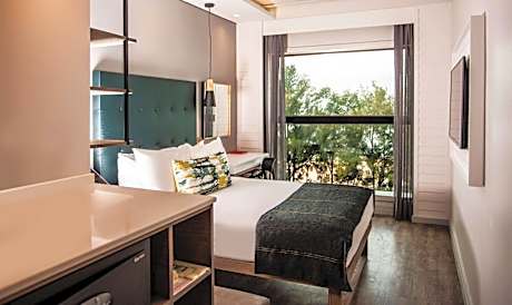 Standard Room 1 Double Bed Non Smoking