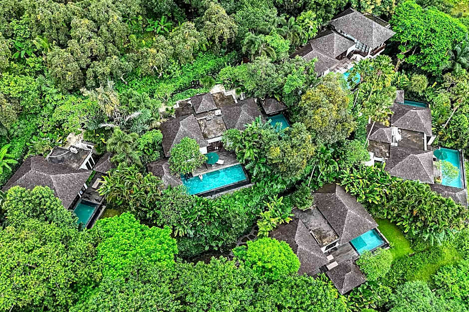 The Damai