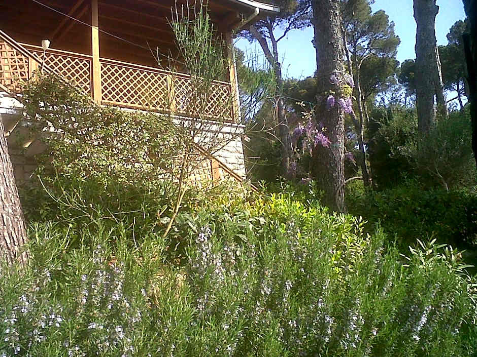 La Casa di Ulisse B&B