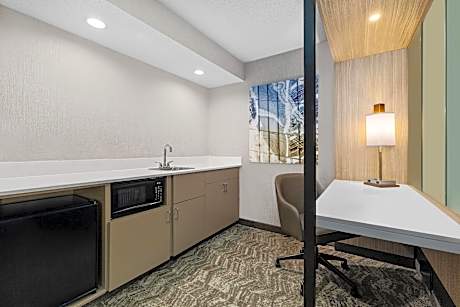 Executive Suite, 1 King, Sofa bed