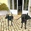 Casal da Eira