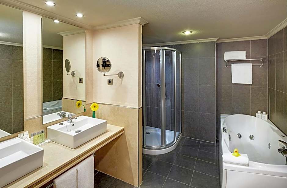 Sercotel Gran hotel Zurbaran
