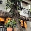 The Circle Hostel La Union