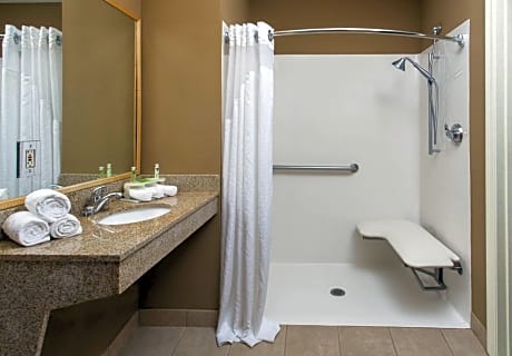 King Room - Disability Access Tub
