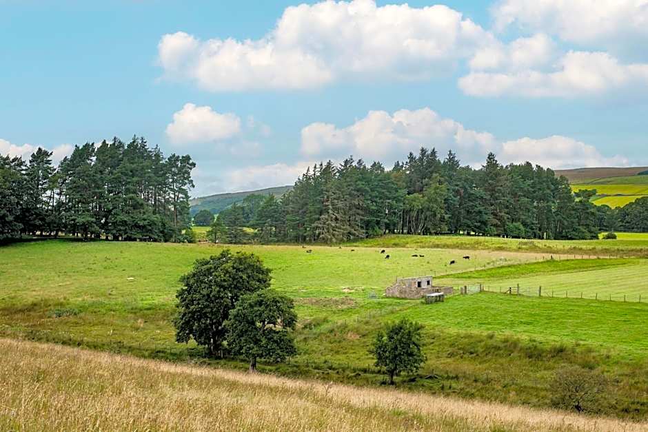 Brown Rigg Lodges