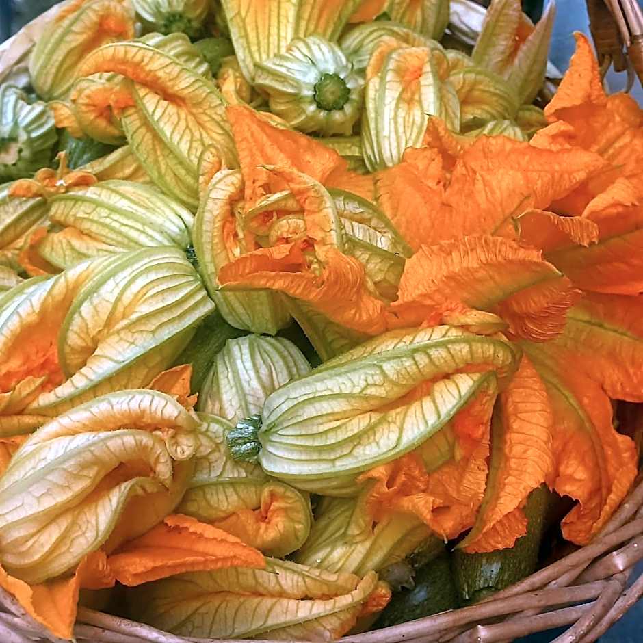 1929 Wine Food Relax Agriturismo