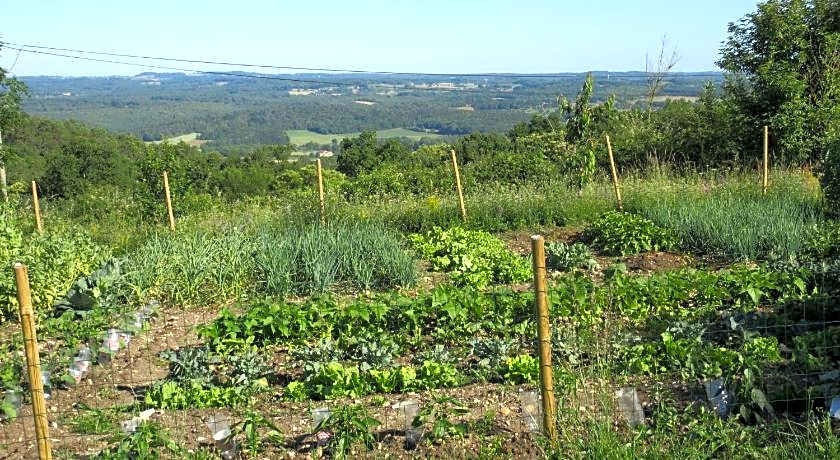 Nature et Piscine au sommet du Perigord