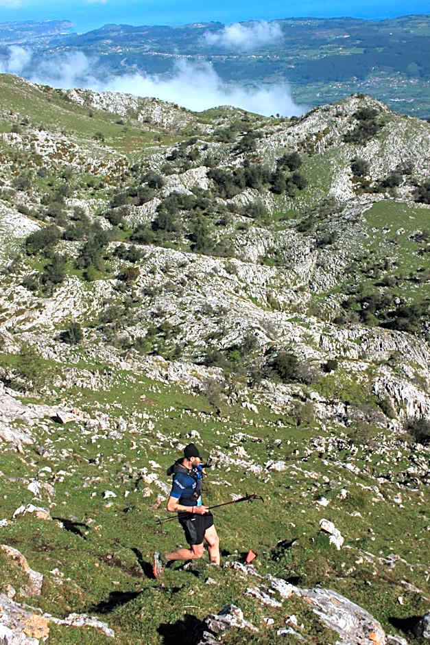 Olas y flores silvestres 2