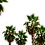 Tridente Mare Apart Hotel
