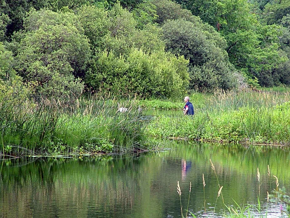 Michaeleen's Manor B&B