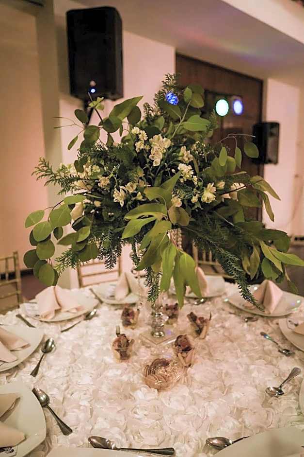 Hotel Colón Plaza Business Class