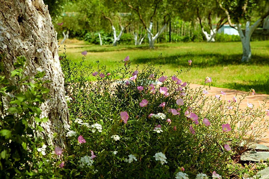 Haus Risos Next Generation