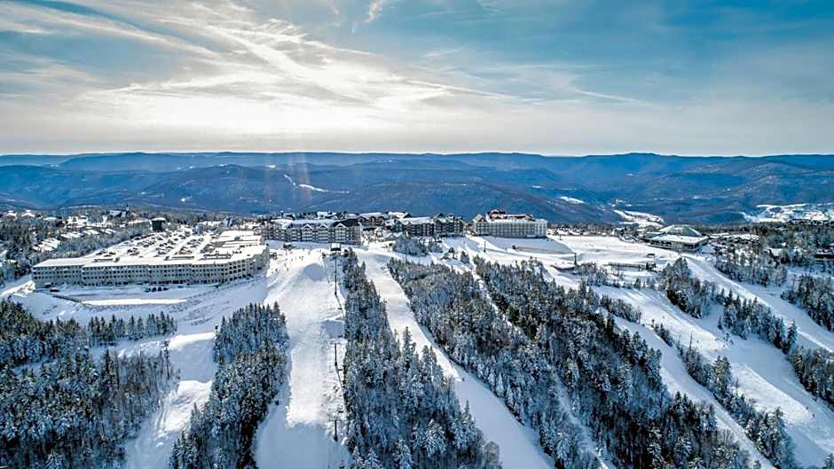 Allegheny Spg - Cozy Condo Ski from our patio