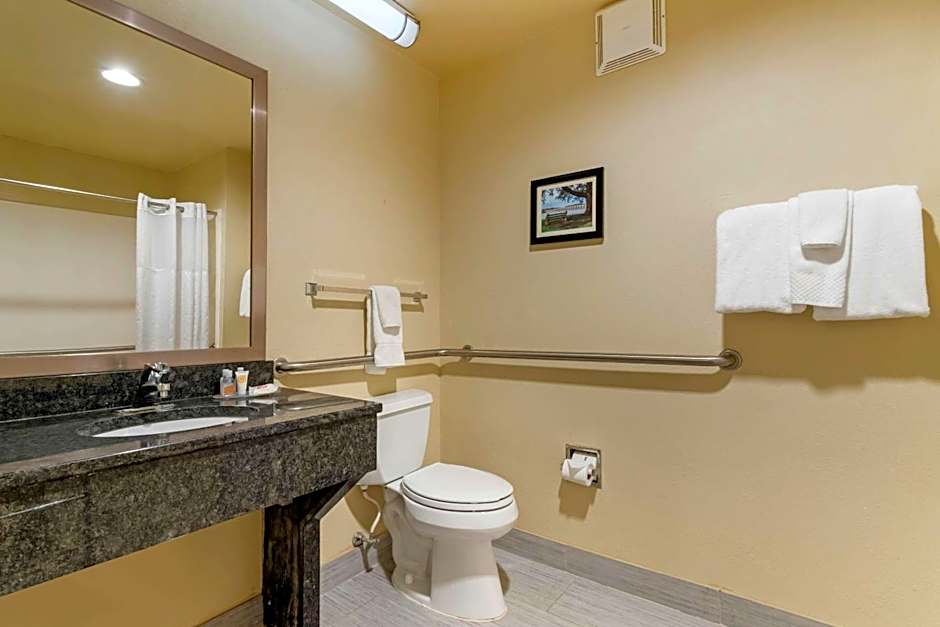 Comfort Inn Mechanicsburg - Harrisburg South