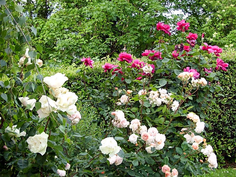 B&B Madonna della Neve