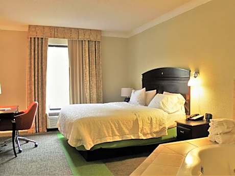 1 King Bed Deluxe Room Nonsmoking