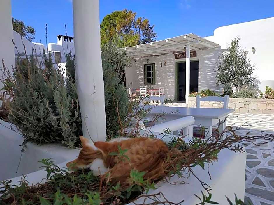 Thalassitra Village Hotel