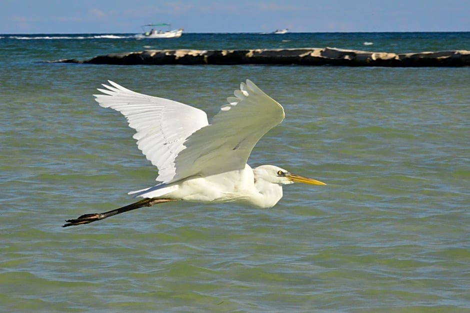 Casa Luz Holbox