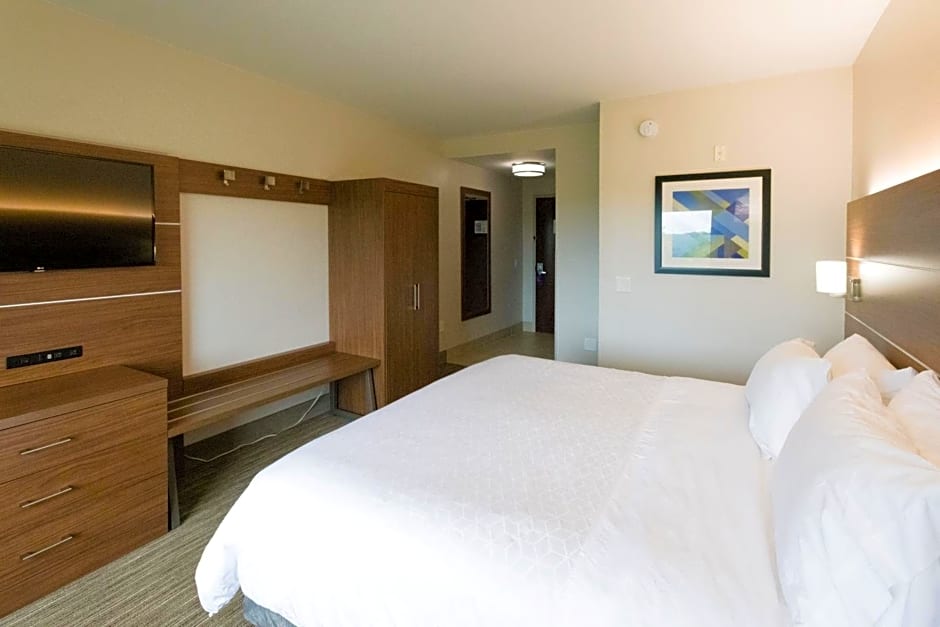 Holiday Inn Express Hotel & Suites Lexington NW-The Vineyard