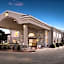 Comfort Inn & Suites Ludington near US-10