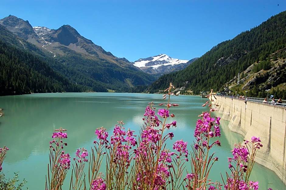 Hotel Restaurant Waldheim