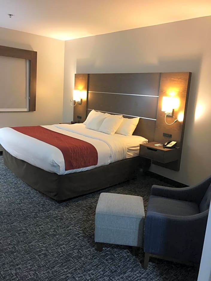 Comfort Inn and Suites Near Lake Guntersville