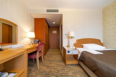 Standard Single Room - Smoking