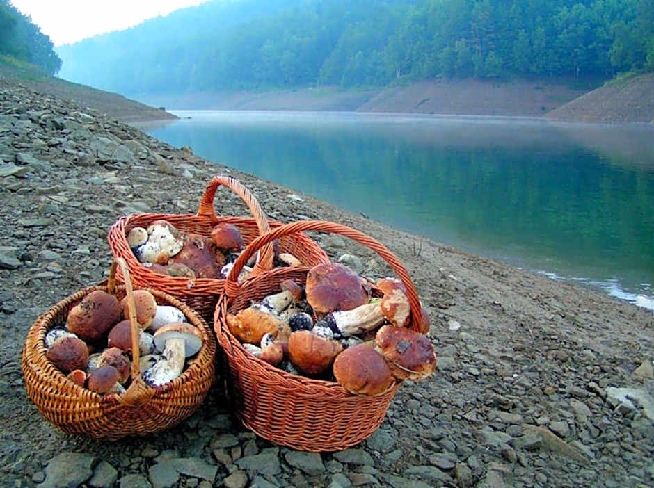 Pansion Bijela Ruža - a la carte