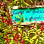 Camotes-Hidden-Huts