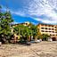 ROYAL PINEAPPLE HOTEL l a welcome to wealth and good fortune