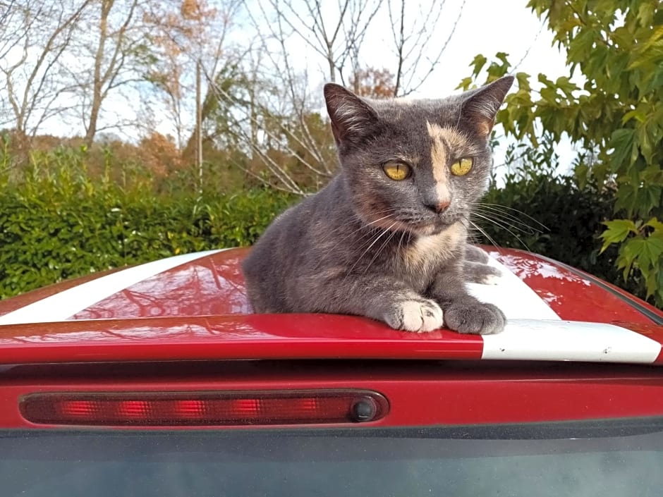 La Metairie de Biaudos