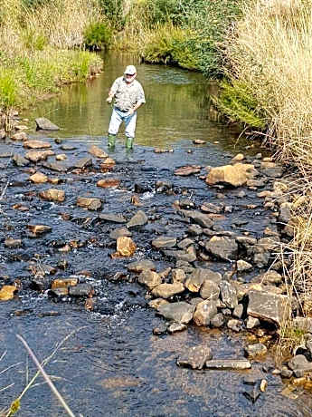 Field And Stream