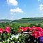 Vitalhotel Konig am Park