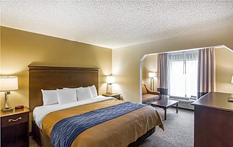 1 King Bed, Suite, Nonsmoking