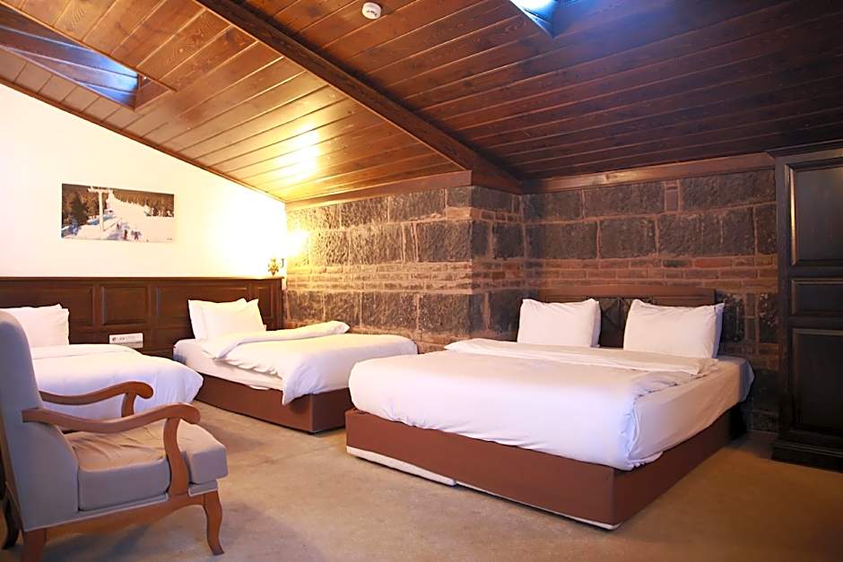 Cheltikov Hotel