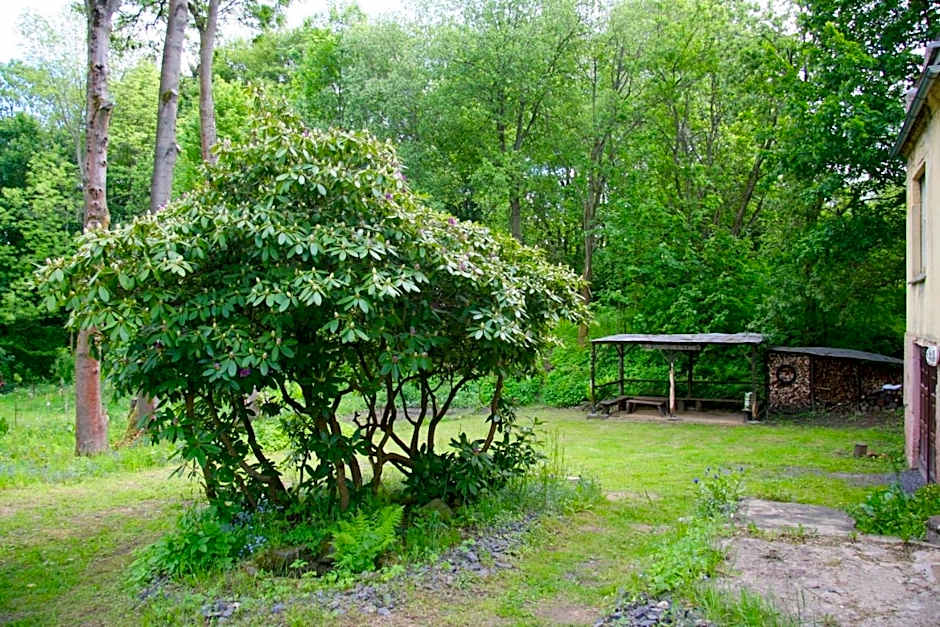 Villa Sunshine / Slunečna Vila