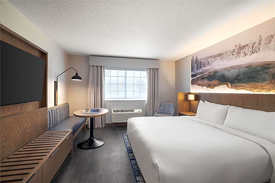 Photo 1 of 5 of 1 King Bed, Mobility Accessible, Roll in Shower