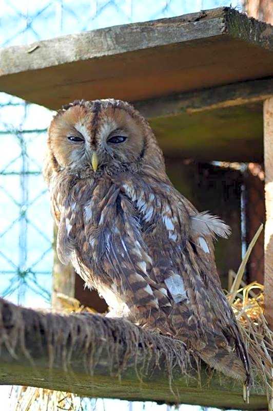 Agroturystyka Klekusiowo