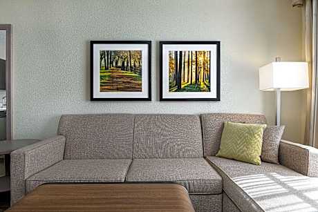 1 Bedroom King Suite