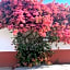 Hotel Posada Camelinas