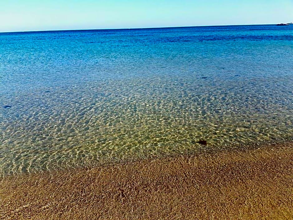 La Rosa Di Rebecca – Monopoli, LA