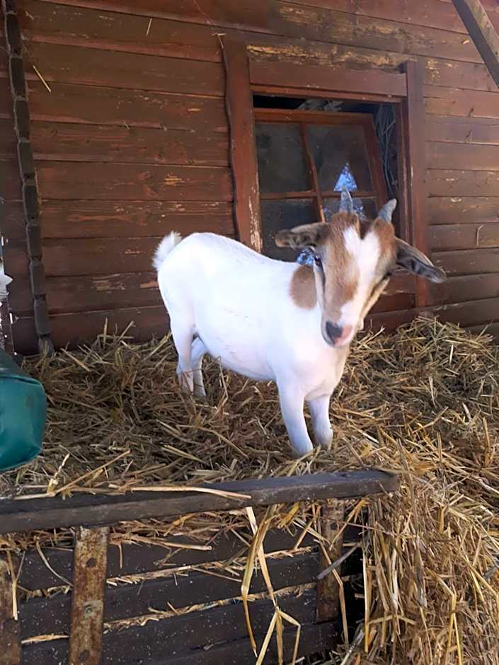 Garden Village San Marino