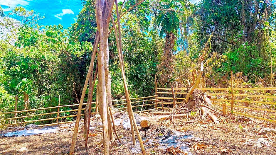 CampSarap Hostel & Resort