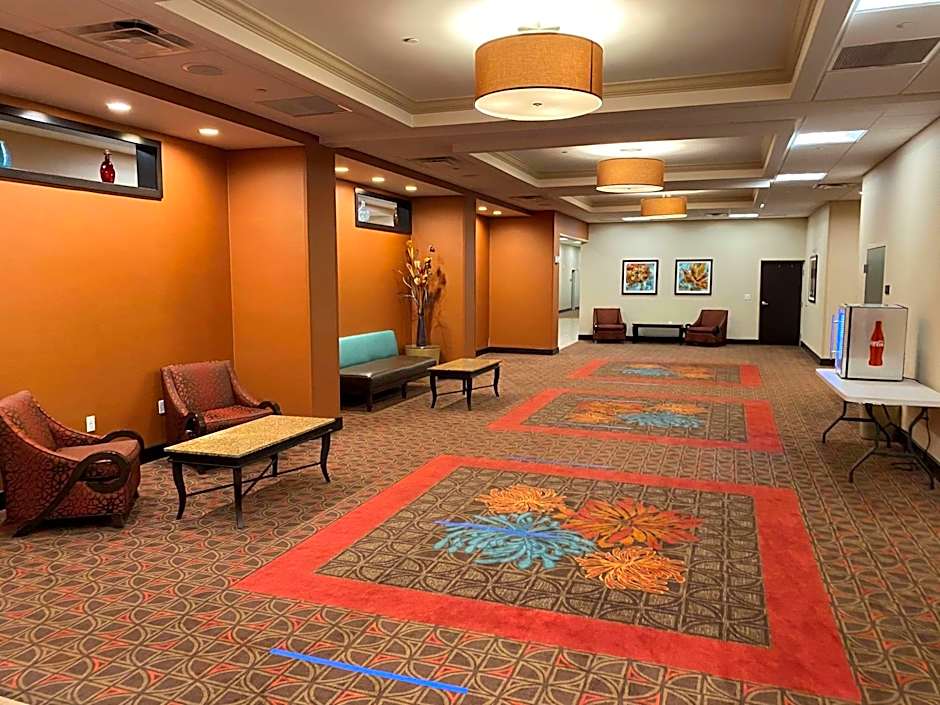 Hampton Inn By Hilton & Suites Tampa Northwest/Oldsmar